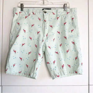 Raw Yarn Industries Mens Shorts Mint Green With Flamingos Size 34 Pockets Zip